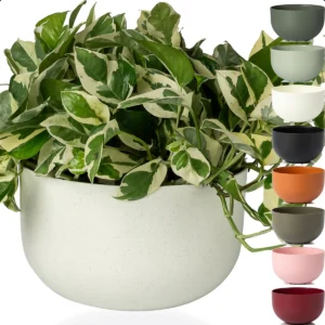 Cachepot Due N6 Cuia Pote 21 – Vaso Raiz com Encaixe Exclusivo