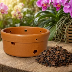 Vaso Cachepot Barro Para Orquídea Com Substrato