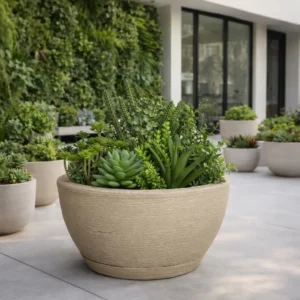 Vaso Decorativo Tipo Cuia com Prato – Para Plantas e Terrários