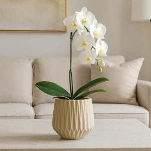 Vaso De Planta Origami Polietileno Decorativo Redondo 23x20