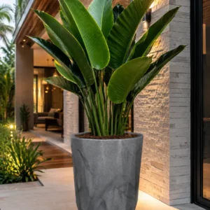 Vaso Grande Coluna Marmorizado P/plantas