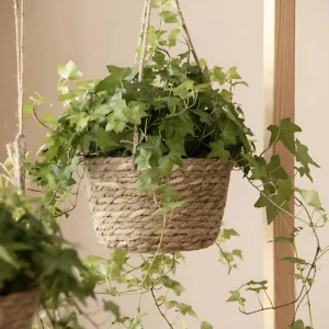 Cesto Vaso Cachepo De Palha Decorativo Para Sala  ou Varanda /Jardim