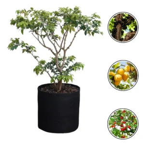 Vaso Grande Para Árvores Frutíferas
