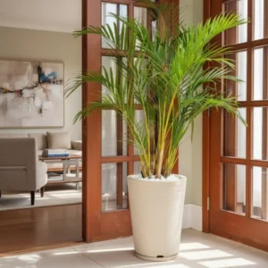 Vaso De Planta Decorativo Jardim Varanda Coluna N2